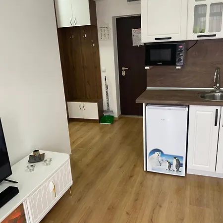 公寓 дани 奥布佐尔