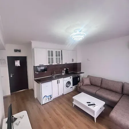 дани * 奥布佐尔