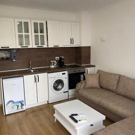 дани 奥布佐尔