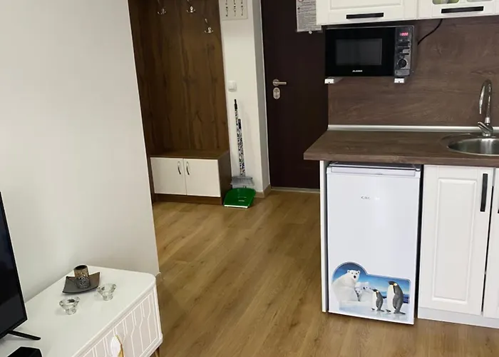 Апартамент дани Обзор