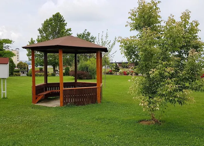 дани * Обзор